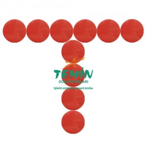 12 Kalibre Karton Kapak (100 Adet)